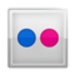 Logo Downflickr Icon