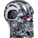 Le logo Future Pinball Terminator 2 Icône de signe.